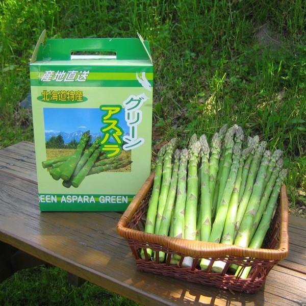アウトドアで食べたい!北海道アスパラのお手軽レシピ&持ち運び術💡北海道 感動いちば