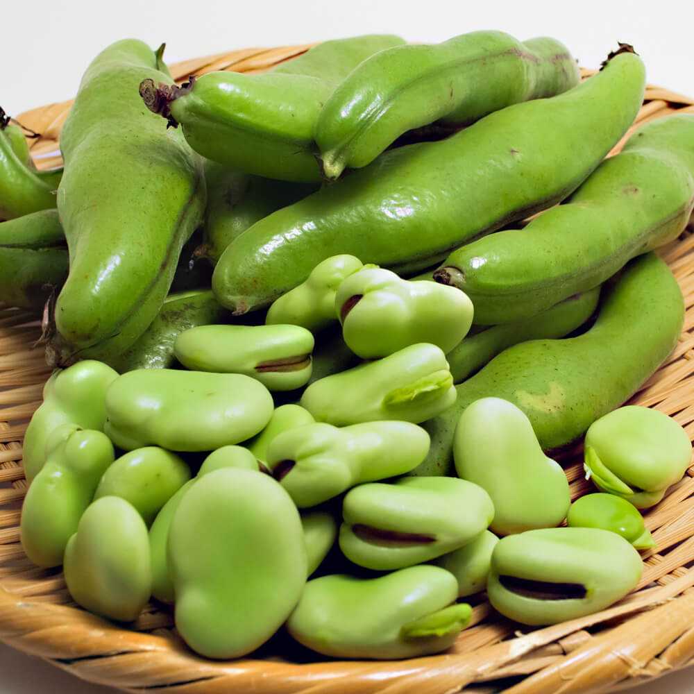 そら豆の写真 - 無料の高画質写真をダウンロードFreepik