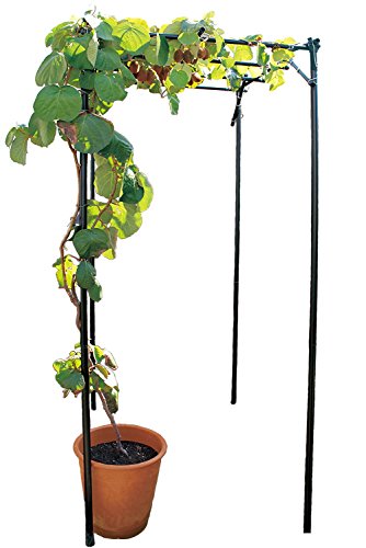 おいしい葡萄の棚ができました。 境界線のフェンス, ウッドデッキの囲い 趣味がひろがる, プライベート空間ウッドデッキ・フェンス施工会社リーベワークス│ハードウッドの施工はお任せください