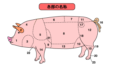 豚肉の部位もおさらいです！全部分かった人は豚肉通です業務用焼き鳥専門店 ミート21のコンテンツ広場