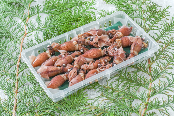 ほたるいかの下ごしらえひと手間で10倍おいしく ビューティニュース 美容メディアVOCE ヴォーチェ