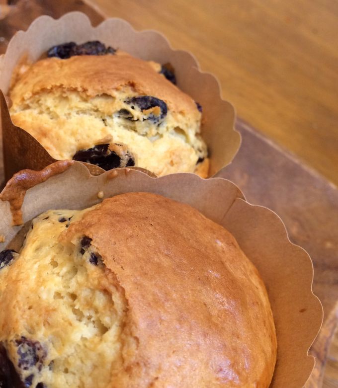 ミスドの新提案！凍らせてもおいしいドーナツ6選ウォーカープラス