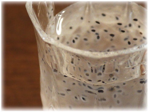 アトア・神戸 思わずギョッとするリアル感！カエルをモチーフにしたミント＆ライム味の爽やかなドリンクが水族館カフェに登場！株式会社アクアメントのプレスリリース