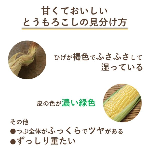 甘いとうもろこしの見分け方。農家さんおすすめの3つのコツを紹介。 - LIFE.net