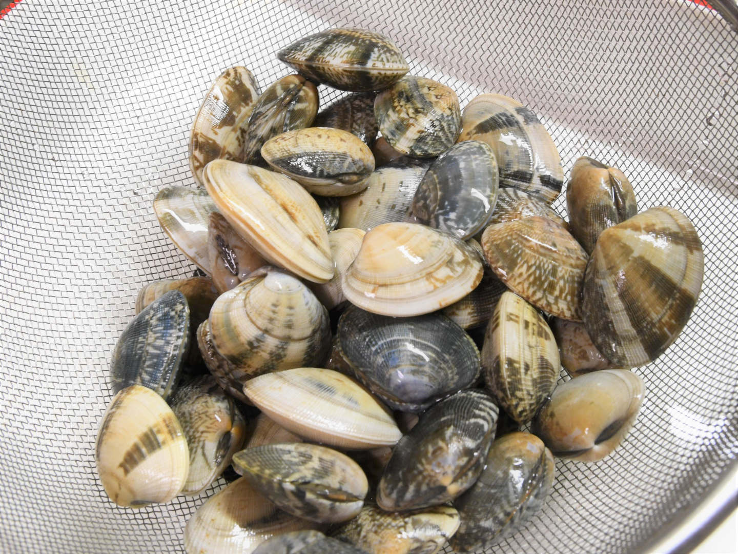 あさりの保存方法とは？砂抜きの方法についても詳しく解説クラシル