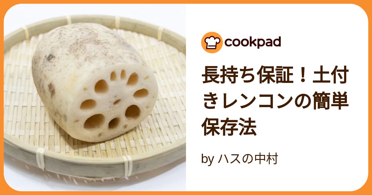 泥つきれんこんS3ｋｇ