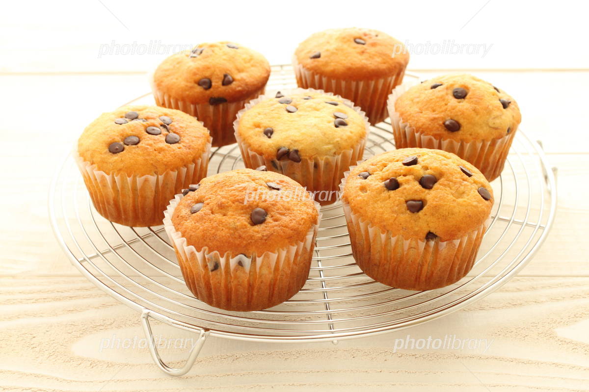 リッチチョコカップケーキ♥わんにゃんデコレーション