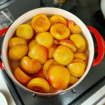 あんずのみつづけ