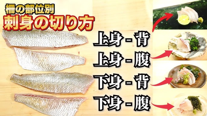 スズキのさばき方釣魚図鑑 特徴・仕掛け・さばき方Honda釣り倶楽部Honda公式サイト