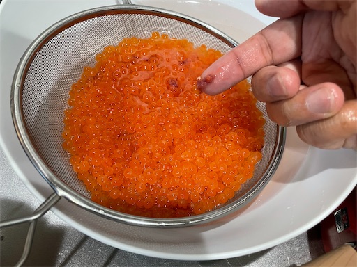 北海道産 いくら醤油漬け北海道直送・通販鮭匠ふじい – 藤井水産公式オンラインショップ