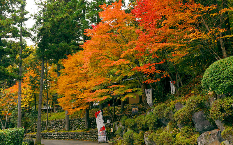 今日は車で出勤🚗 紅葉がきれい🍁✨ 仕事終わったら 広島に向かいます😊 セラピスト