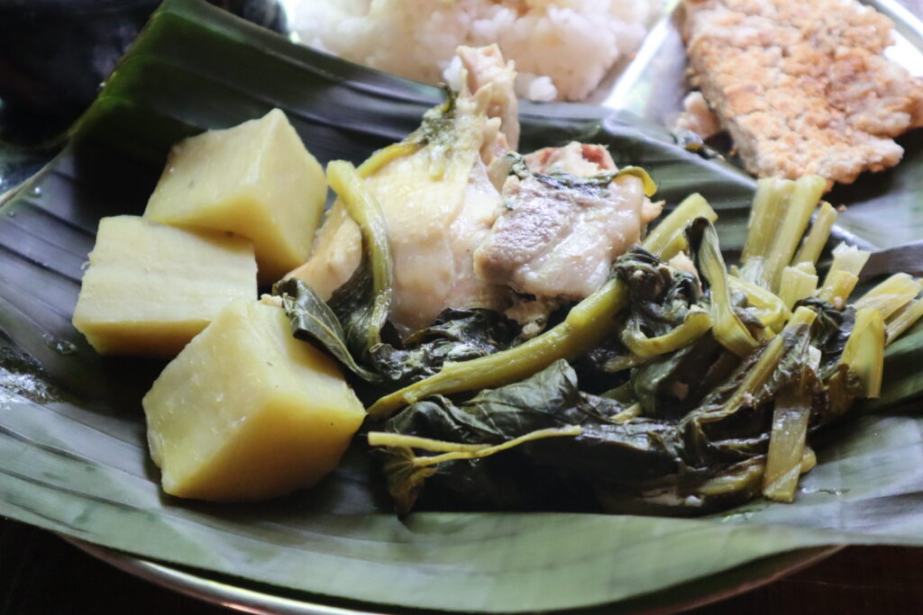 Rainbowtown FM レインボータウンFM パプアニューギニアの食事情熱帯雨林を歩く