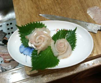 夏のスズキは高級品です東京築地目利き協会