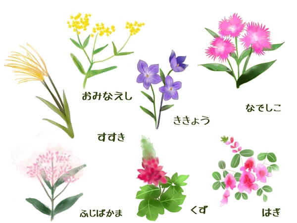 ソースの賞味期限どれくらい日持ちする?開封後も長持ちするの?コジカジ