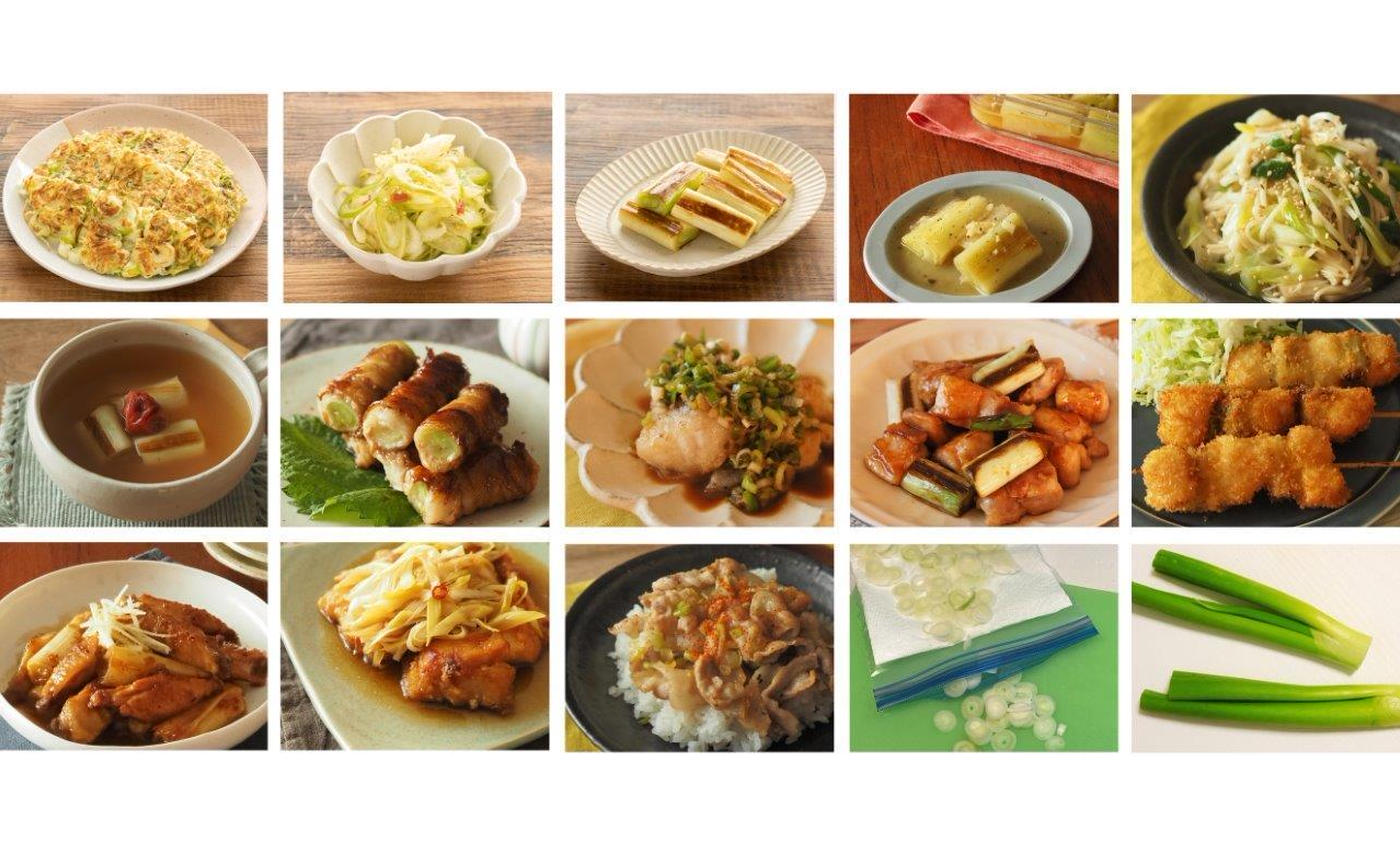 焼くだけで簡単「豆腐×片栗粉」の絶品レシピ7選。ステーキやチヂミ風も - macaroni