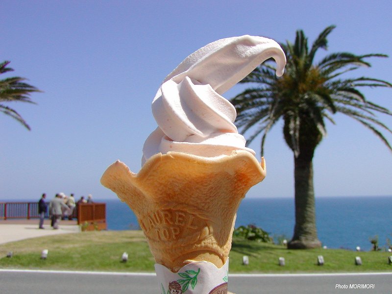 宮崎ならではの名物ソフトクリームが大人気！休憩・土産・眺望に特化した道の駅「フェニックス」 - 週末はじめました