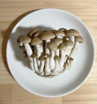 パッとVege カットぶなしめじ 長野県産他 ISETAN DOOR