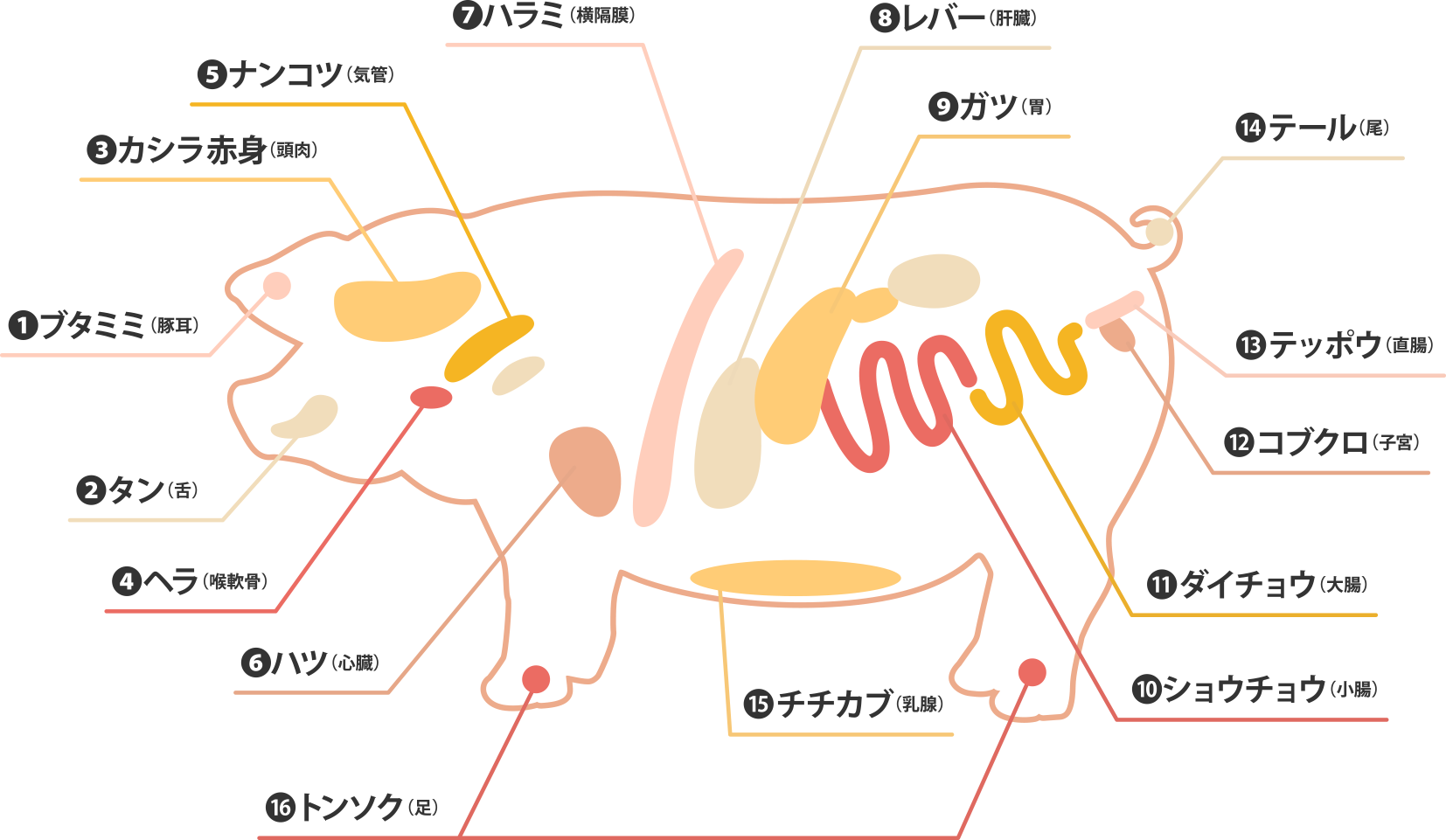 牛心臓のあらゆる部分を食べ比べてみた!ホルモン☆もいしょう