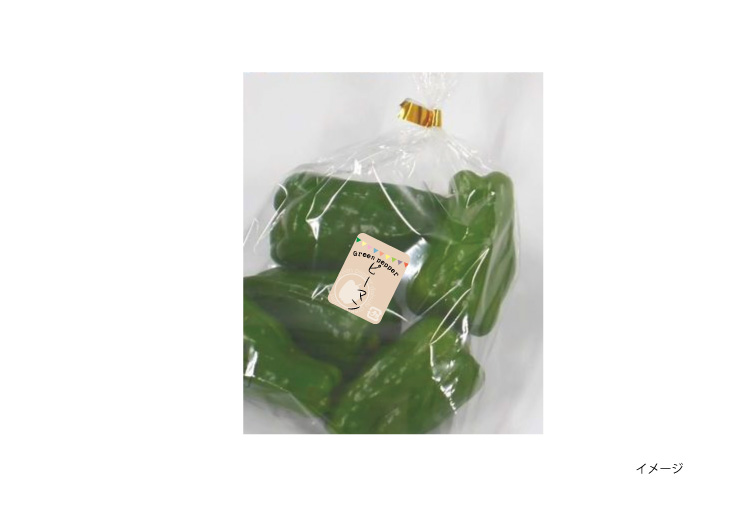 500枚 H-350 有機野菜 カミイソ産商 ラベル シール イベント ギフト 青果ラベル 500枚入 : パッケージ・マルシェ - 通販 -Yahoo!ショッピング