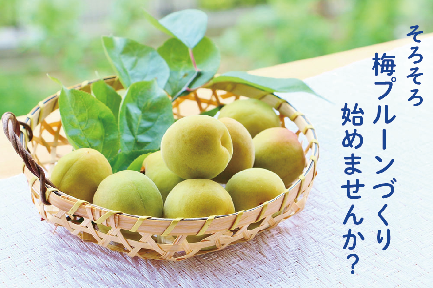 matsukiyo種ぬきプルーンマツキヨココカラオンラインストア