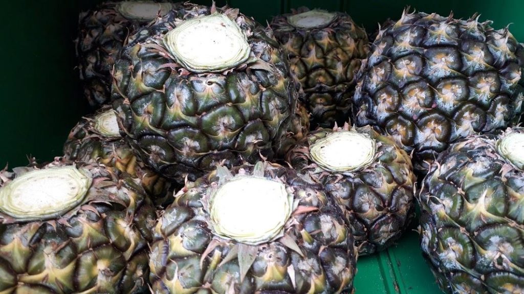 ハワイで食べたい絶品果物 珍しいトロピカルフルーツもご紹介 - YASAI to KAJITSU