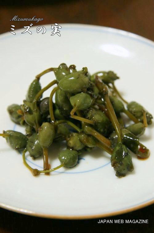 山菜みずの味噌汁 by ガメコクックパッド簡単おいしいみんなのレシピが392万品