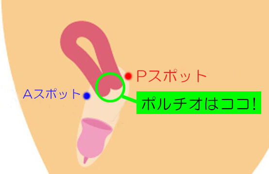 プロが教える、本当に気持ちいいＧスポットの攻め方