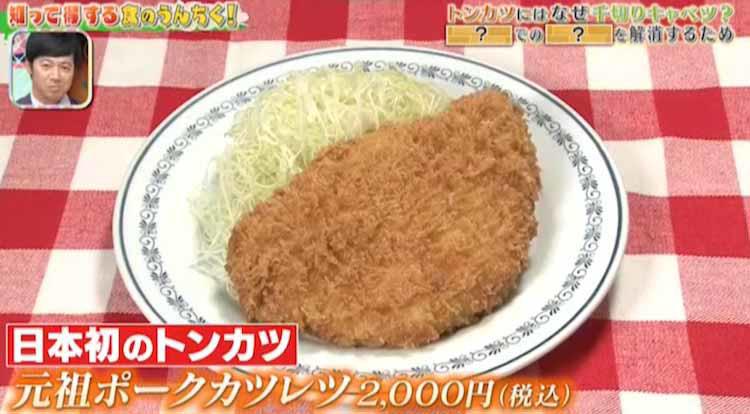 とんかつと千切りキャベツ 写真素材5874197- フォトライブラリ