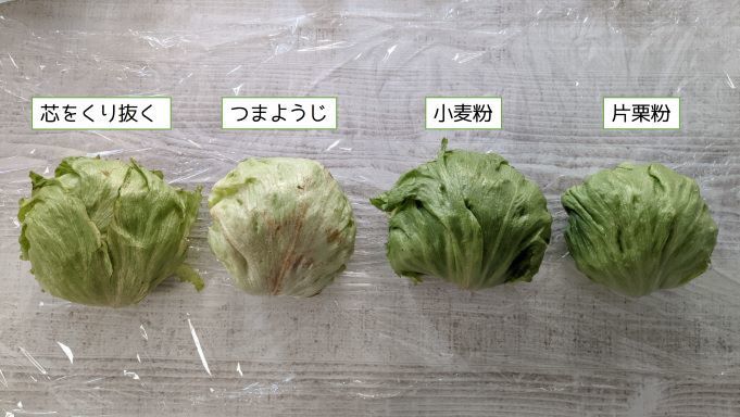レタスの保存方法冷蔵庫で長持ちさせるテクニックと冷凍保存のコツを紹介!ふるなび公式ブログ ふるさと納税DISCOVERY