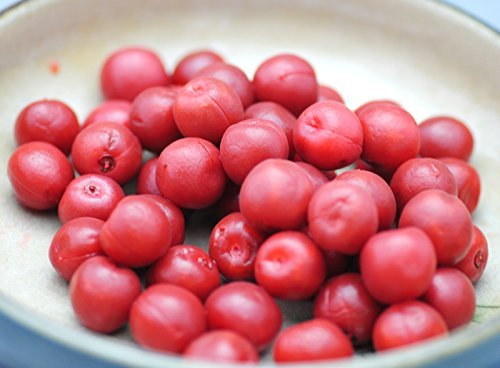 カリカリ梅作り梅ボーイズのうめしごと