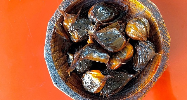 送料無料 黒にんにく発酵器 メーカー 自家製 ニンニク 手作り 乾燥機 黒ニンニク 製造機