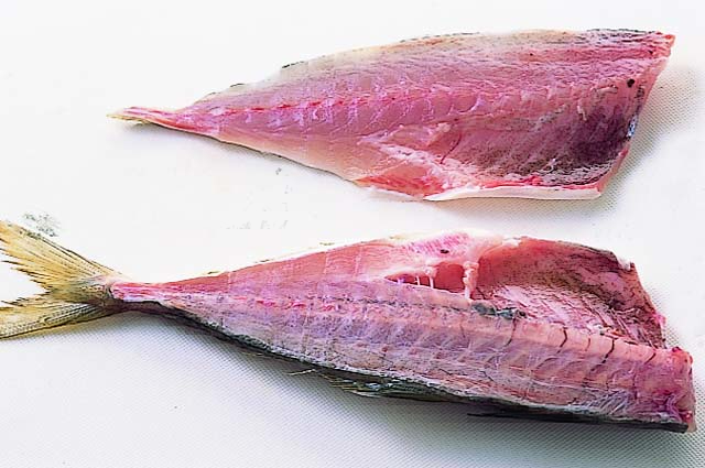 無料記事 真鯵 マアジ の三枚おろし 大名おろし に迫る！魚っくん Manabu