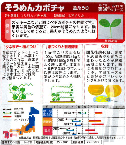 そうめんカボチャ 種 『金糸うり』 サカタのタネたね,果菜の種,カボチャ,その他のカボチャ種兵ネットショッピング