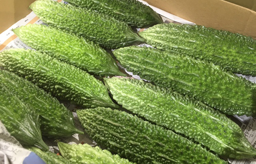 暑い夏に食べたい夏野菜の特徴は？ 代表的な種類のおいしい食べ方と保存のコツ