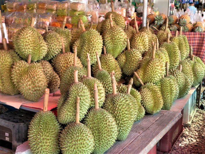 ドリアン臭いエキゾチックなアジアのフルーツベクター描画イラスト」のベクター画像素材 ロイヤリティフリー2263663113Shutterstock