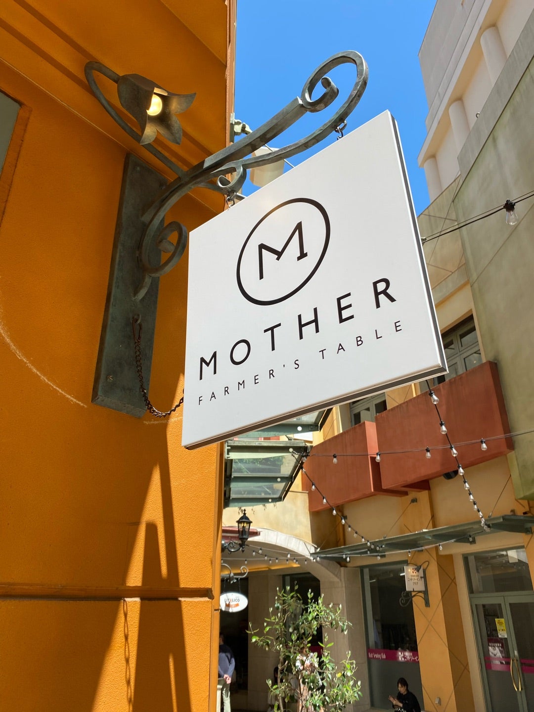 ファーマーズ テーブル マザーFARMER'S TABLE MOTHER - 予約・店舗情報はこちらHAMONI