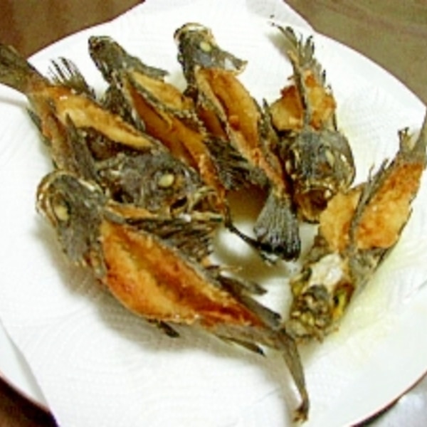 エゾメバル贅沢堪能日誌