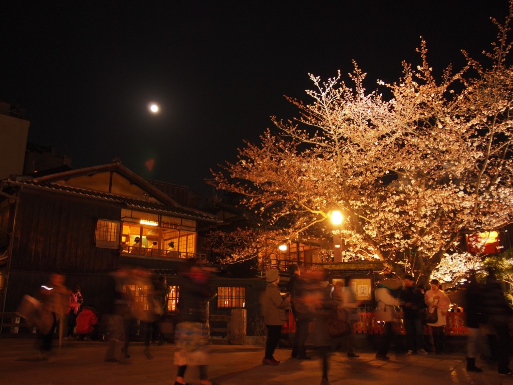 女の子一覧：月夜の桜（ツキヨノサクラ） - 八戸・種差海岸/デリヘル｜シティヘブンネット