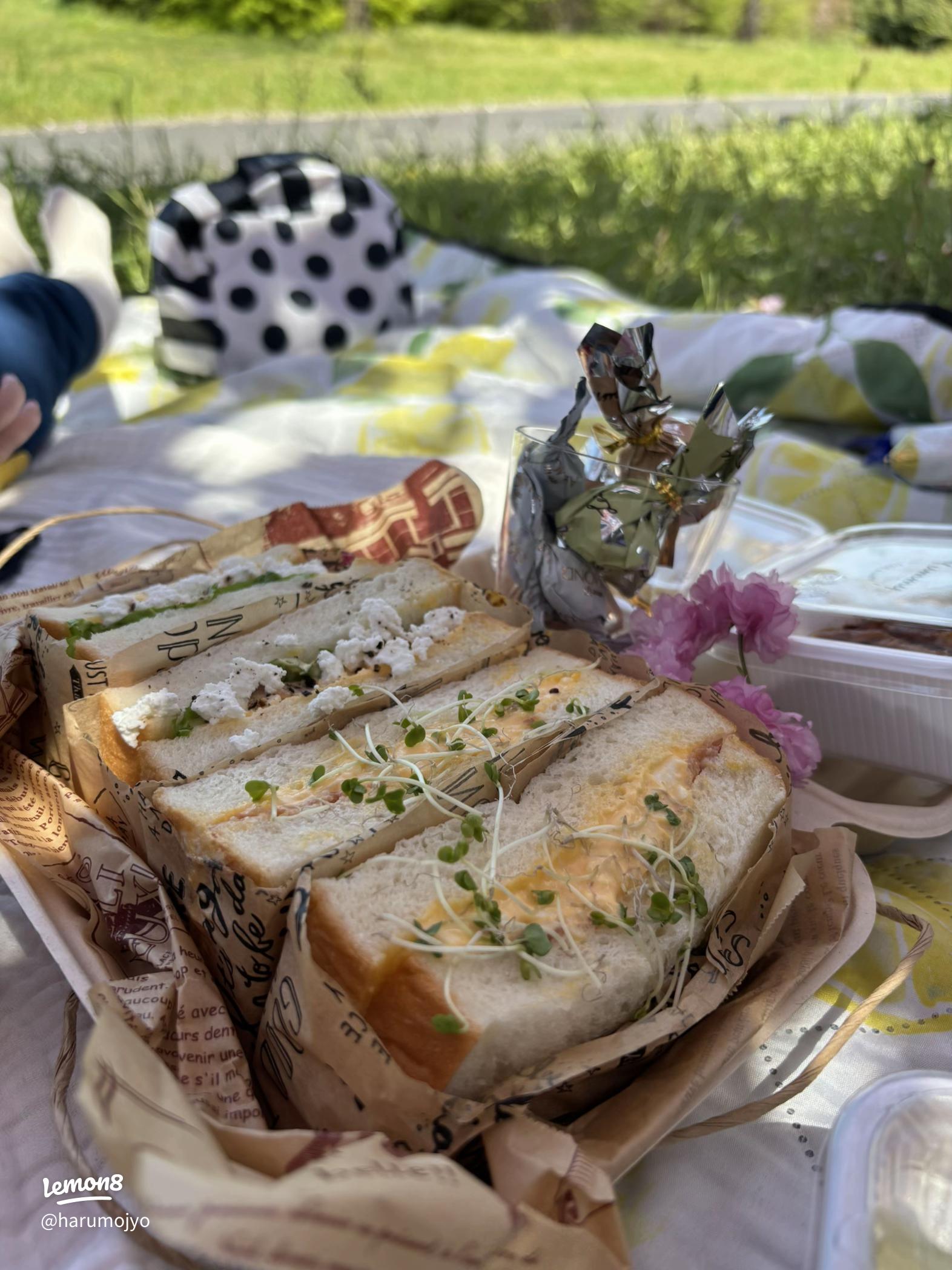 ピクニック弁当 作り方TikTok