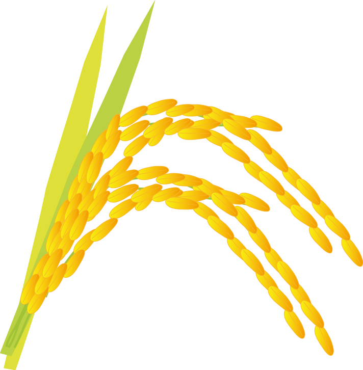 お米と稲イラスト - No: 22184253無料イラスト・フリー素材なら「イラストAC」