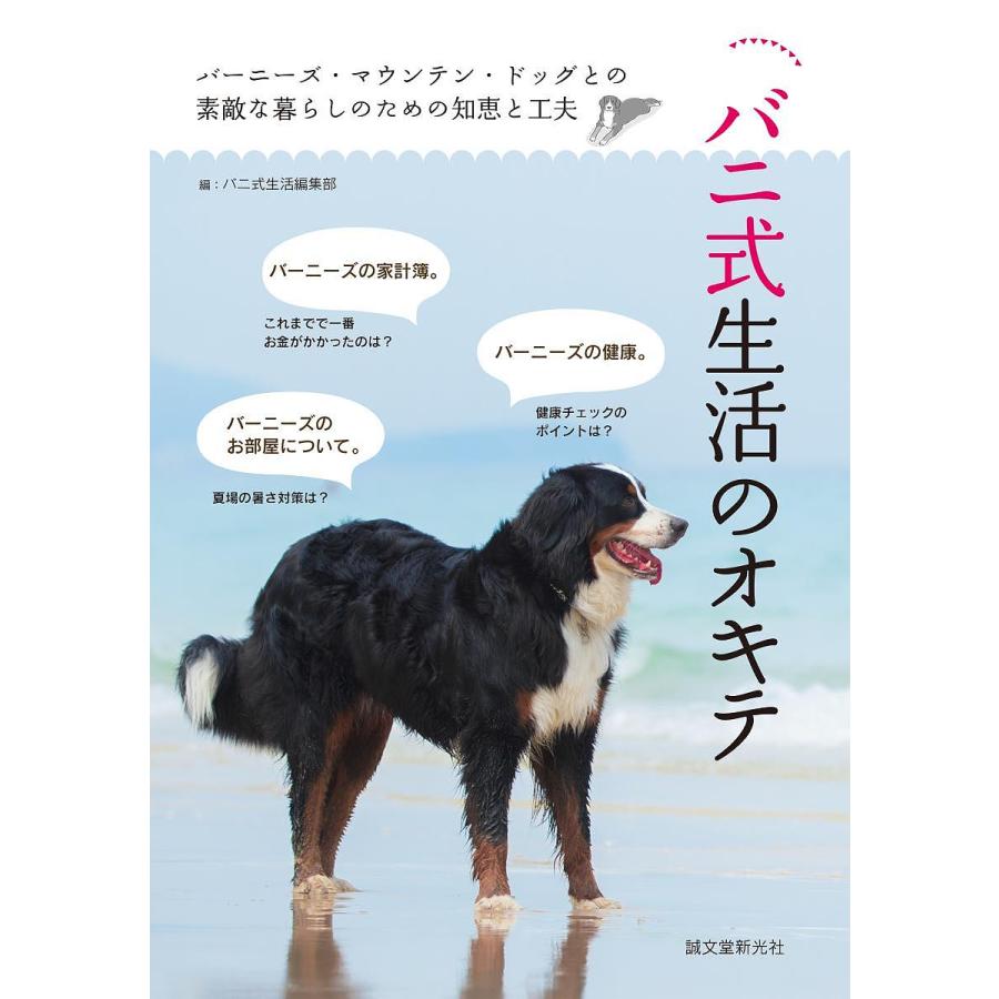 体験談】横浜関内ピンサロ「キャンディマウンテン」は本番（基盤）可？口コミや料金・おすすめ嬢を公開 | Mr.Jのエンタメブログ