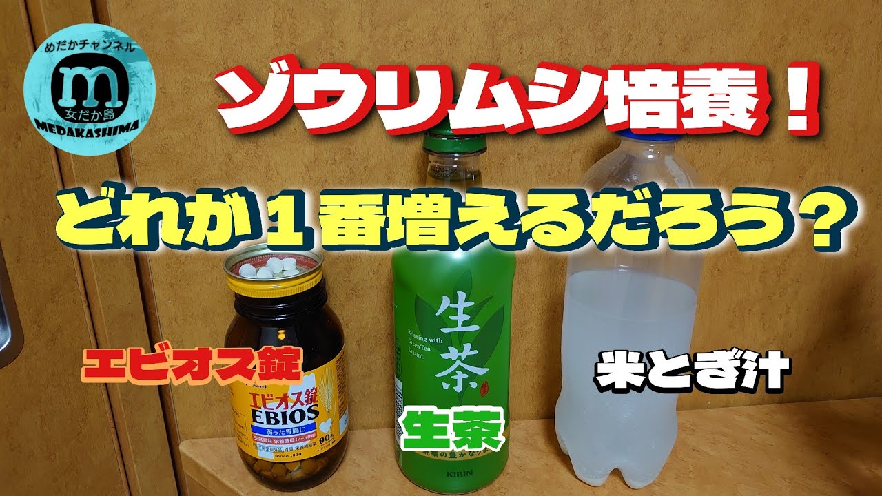 おならが臭い原因はコレだった！腸に良いと思っていたものがニオイの原因かも？！｜わかもとラボ