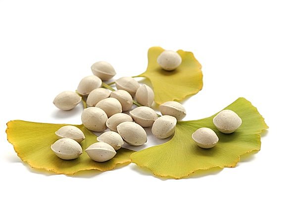 😋食べれる木の実💓銀杏💓園芸日記byヤマト 遊みんなの趣味の園芸510661