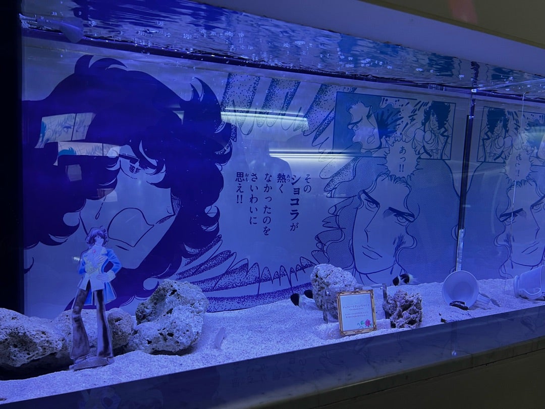 海水魚水曜日からたっぷり商品アップ完了！生麦海水魚センタ