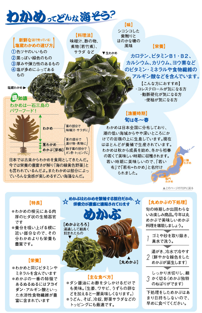 茎わかめの佃煮のレシピ茎わかめはこの食べ方がいちばん！：白ごはん.com