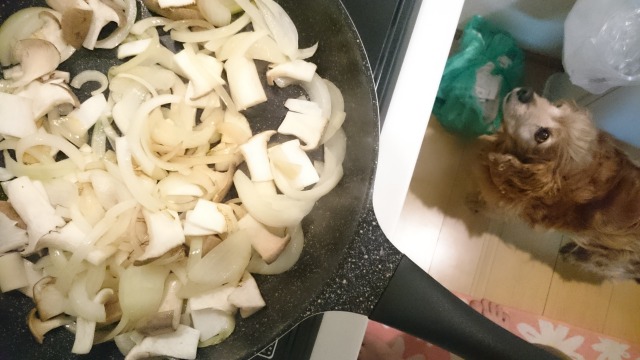 ハインツのデミグラスソースでハヤシライス