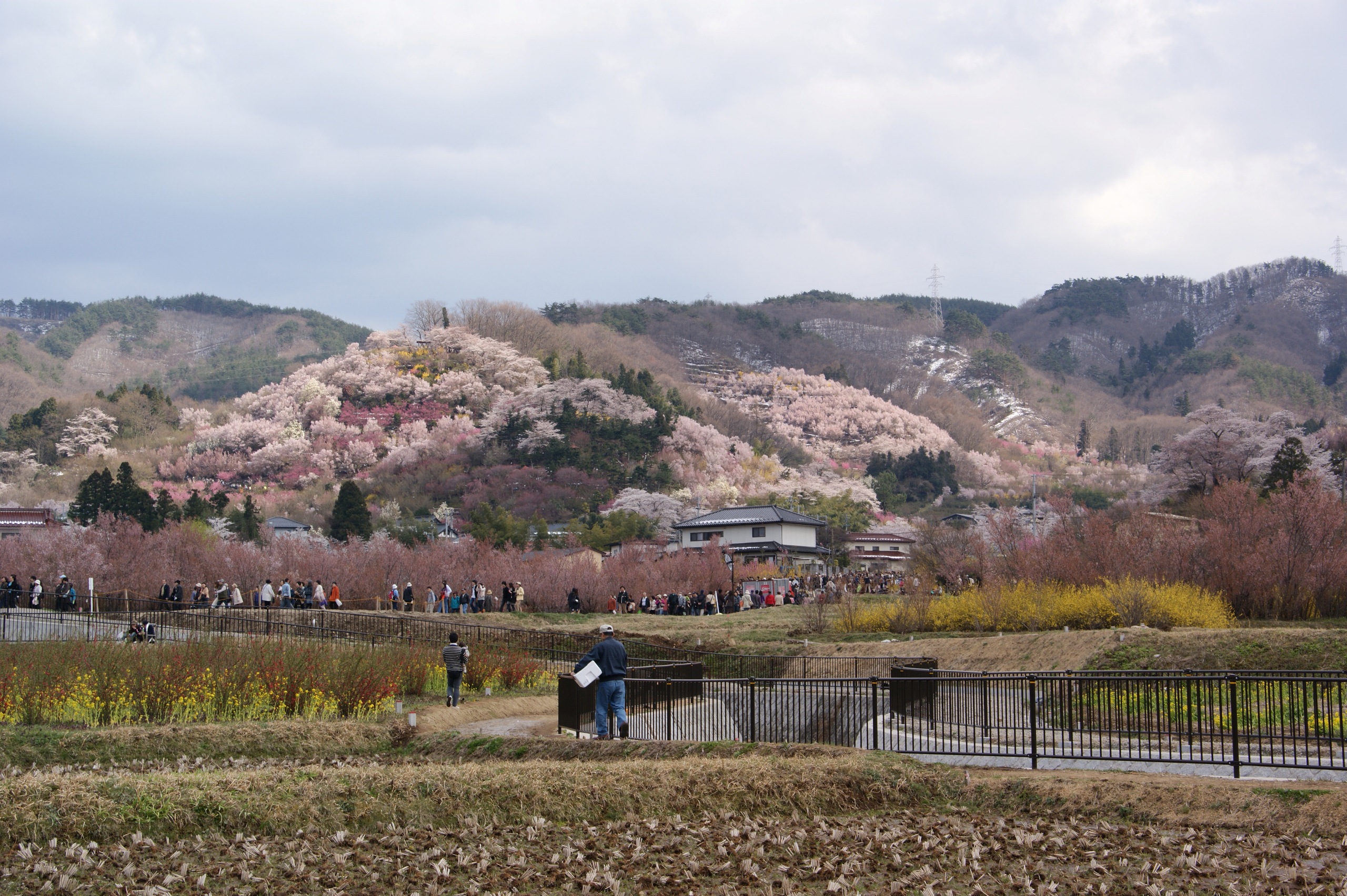 ２．十日市をはじめとする町方文化にみる歴史的風致