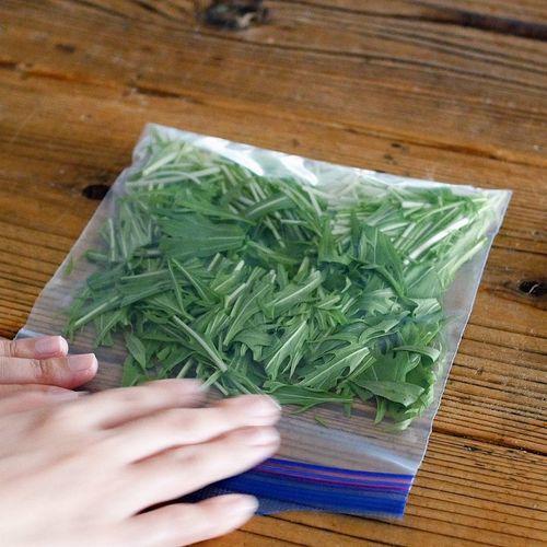 料理の基本！ 水菜の冷凍保存方法