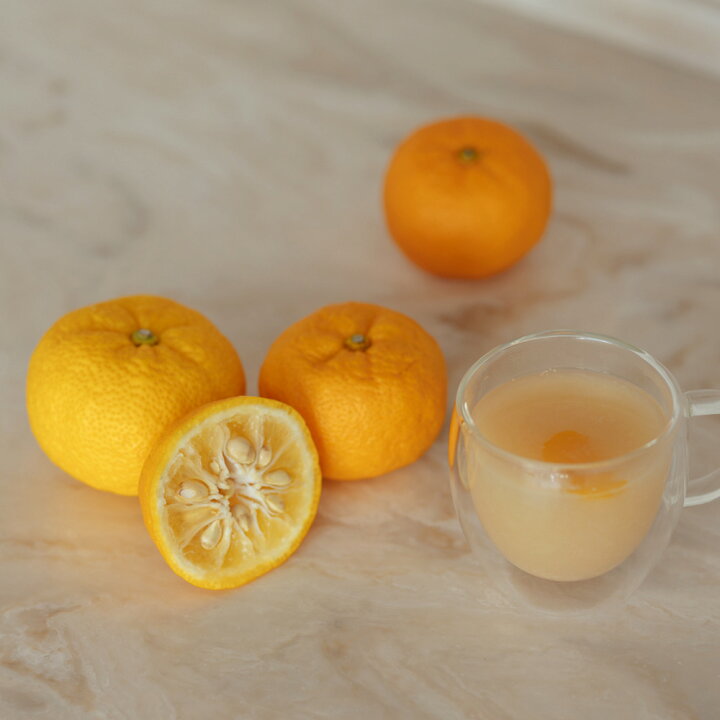 Bioene ビオーネビオセボン オンラインストア