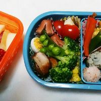 2歳児向けのお弁当レシピ8選！簡単で見た目もかわいい作り方は？ - こそだてハック